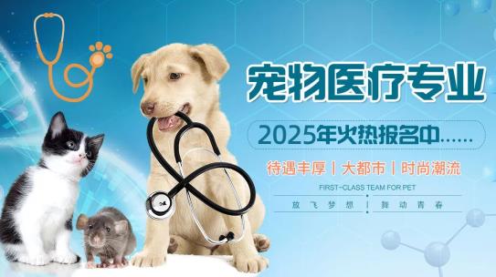宠物医疗专业
