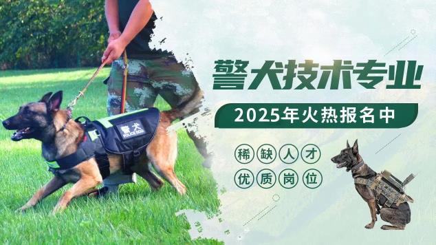 工作犬技术专业